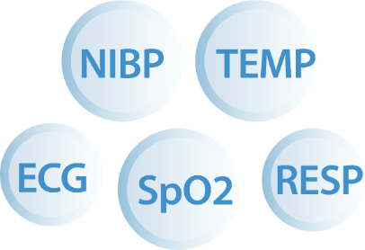 Monitoreo de parámetros maternos: ECG, SpO₂, PNI, RESP y TEMP