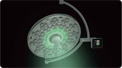 Modo Endo con luz verde