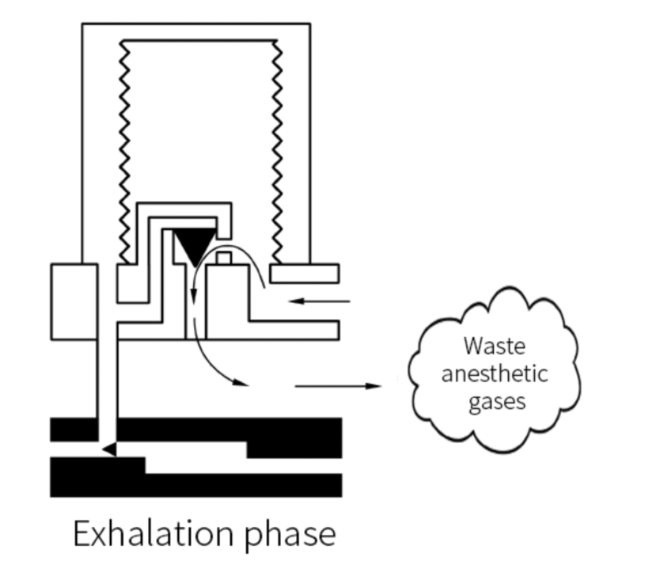 Esquema de la generación de gases anestésicos residuales en el circuito semicerrado